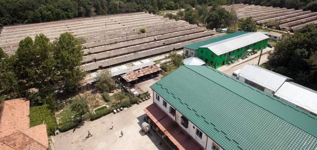 Tierheim Smeura in Pitesti