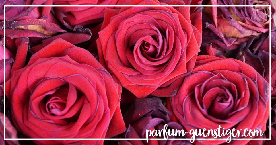 Parfum online bestellen